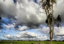 詹姆斯赛事官方发布势不可挡新规，IG争议不断！